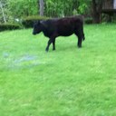 peter standish - @standish_peter - Twitter