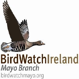 Bird watching group based on the West coast of Ireland. We are the voluntary County Mayo branch of Birdwatch Ireland. New members always welcome.