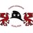 CentralHualpen's profile image