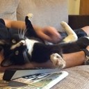 becky mathews - @becksmathews - Twitter