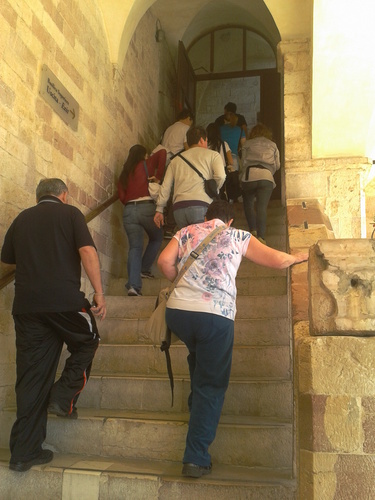 Subiendo los peldaños de  esta escalera te elevarás sobre las dificultades que se van acercando a nosotros con la edad.
Vive como si tuvieras 20 años.