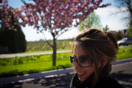 SolmazSayyadi's profile picture. I'm a Lead Development Rep Inside sales for Tivoli at IBM,  Looking for help? 
Follow me!
My tweets are my own