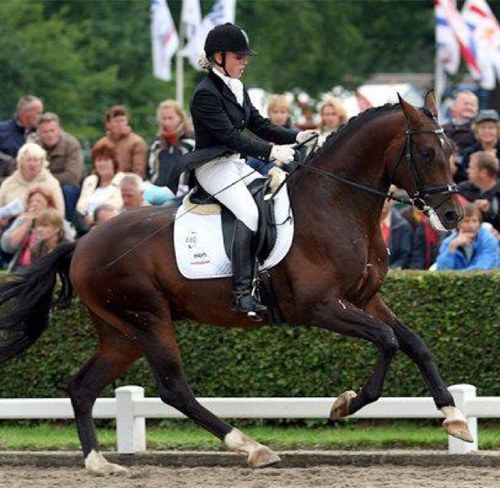 Solvej204's profile picture. 