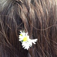 petra boberg (@bobergp) 's Twitter Profile Photo petra boberg (@bobergp) 's Twitter Profile Photo