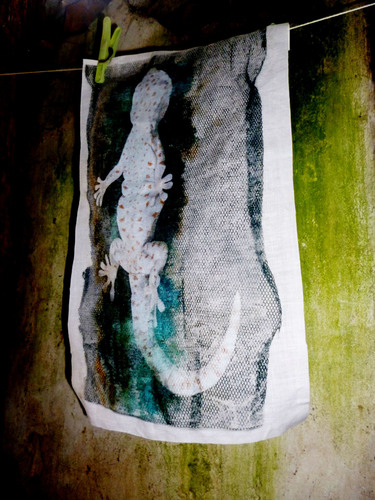 HDawsonTextiles's profile picture. Hannah Dawson: As a freelance textile designer, using both modern and traditional techniques, Hannah creates exquisite prints for both fashion and interiors.