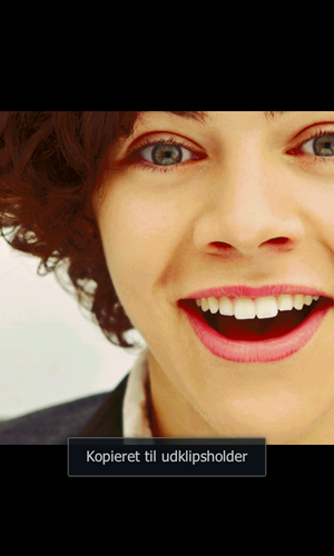 1Danish1D's profile picture. 