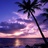 Debbie (@prouddemocrat1) Twitter profile photo