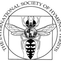 International Society of Hymenopterists(@Hymenopterists) 's Twitter Profile Photo