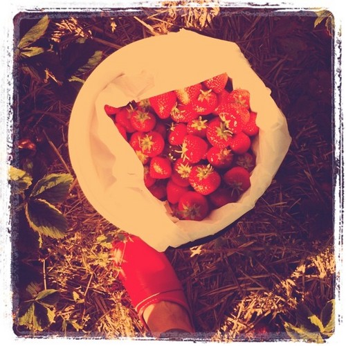 sofkan's profile picture. 