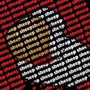 Robbie Whitlock - @RobbieWhitlock1 - Twitter