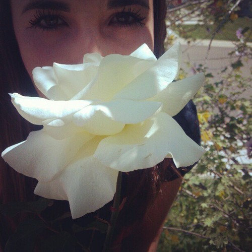 chelsi_lane's profile picture. :]