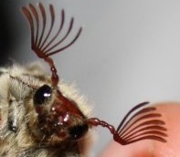 wywnaH4ik's profile picture. In the middle of nowhere