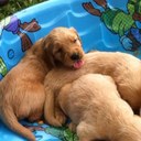 amy dewey - @boomstyxx - Twitter