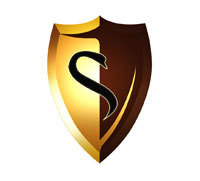 swans_eng's profile picture. Swansea City in Russia