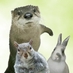 Такако ⓥ🌱🐀🐁 (@otterx) Twitter profile photo Такако ⓥ🌱🐀🐁 (@otterx) Twitter profile photo