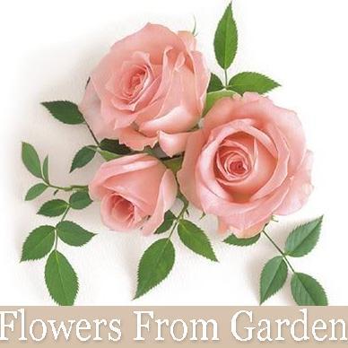 FlowersFGarden's profile picture. Decoradora de interiores