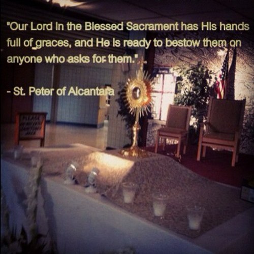 Parent4LightSTM's profile picture. Parents for Light is a monthly speaker program started by a group of parent volunteers who wanted to foster the parent-student relationship at STM High School.