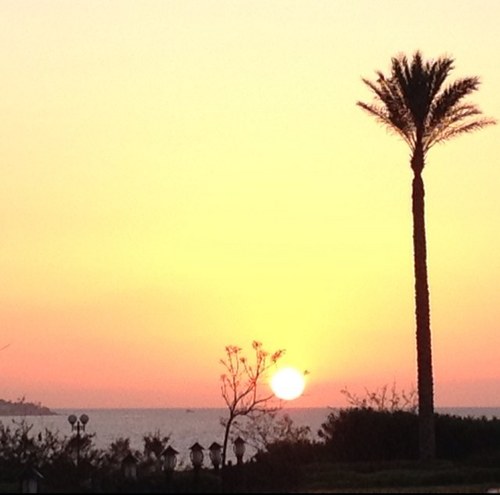 aslylmaz1's profile picture. “Hayat güzeldir”