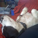 derrick stringer - @dellboy1955 - Twitter