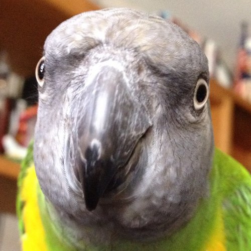 BeanieG82's profile picture. 