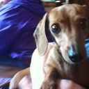 Brooke Ogle - @BrookeOgle1 - Twitter