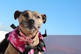 Family owned pet and tack store in Manitoba, Canada. We LOVE pets!