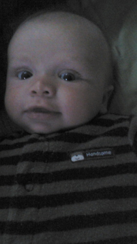 BrazilEmily's profile picture. 