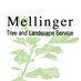 Mellinger Tree LLC (@mellingertree) Twitter profile photo Mellinger Tree LLC (@mellingertree) Twitter profile photo