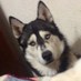 iky (@ikycript) Twitter profile photo iky (@ikycript) Twitter profile photo