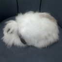 Daniel Lemes - @Jack_Silver1 - Twitter