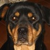 renata vlanco (@renatavlanco) Twitter profile photo