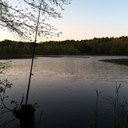 Shane Shepherd - @ShepGurn - Twitter