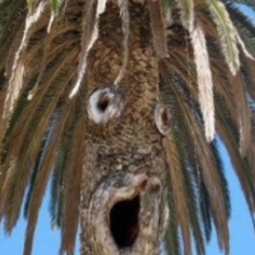 nicodani888's profile picture. 