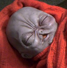 DougBryant1's profile picture. 