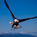 Randy Gerlach - @randyatoztech - Twitter