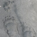 James Clift - @freshwaterfan - Twitter