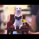 Katie Stansbury - @Katie_Dare1 - Twitter