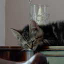 Sara Stock - @saraot - Twitter