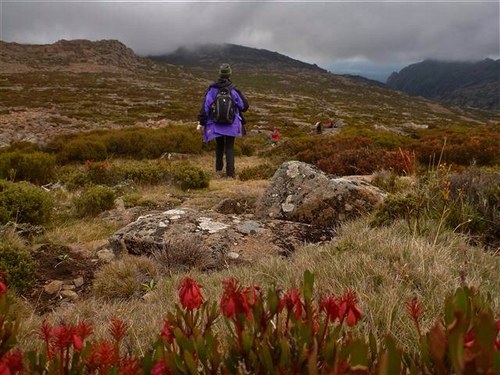 stephie_pricest's profile picture. History teacher/ Learning and Pedagogy leader