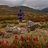 stephie_pricest's profile image