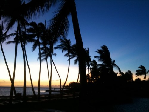 skipbethea's profile picture. Pro-Democracy / History-in-the-Making / Geo-Political-Security-Curated / Deep-Sourced & Comment-Free Speech / Non-Endorsed RTs of the Day / Archived for History