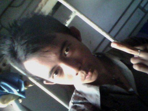 dickydragonz's profile picture. 