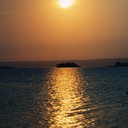 PassionPure's profile picture. Passionately seeking out the pure amidst the profane, the excellent amidst the mundane.