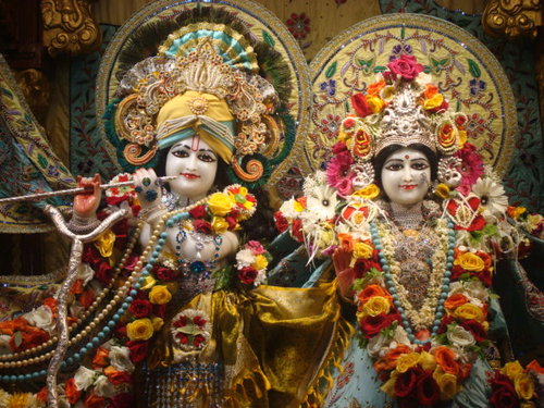 surudipak's profile picture. 