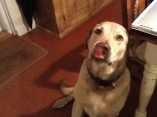 fmtfcat's profile picture. commuter, cricketer, hockey coach and father of 4 girls (future Olympians)