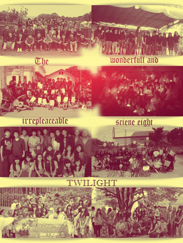 The Wonderful and Irreplaceable Twelve Science Eight! 12 IPA 8 2011-2012