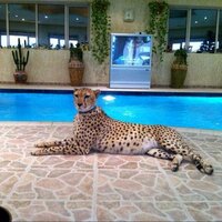 saleh_40s (@saleh_40s) Twitter profile photo