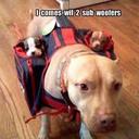 jacob wigley - @sourritie - Twitter