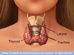 At http://t.co/7RfwYkERYN you will find information about thyroid problems and how to ease your thyroid symptoms.