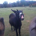 Ethan Garrett - @ethangarrett49 - Twitter